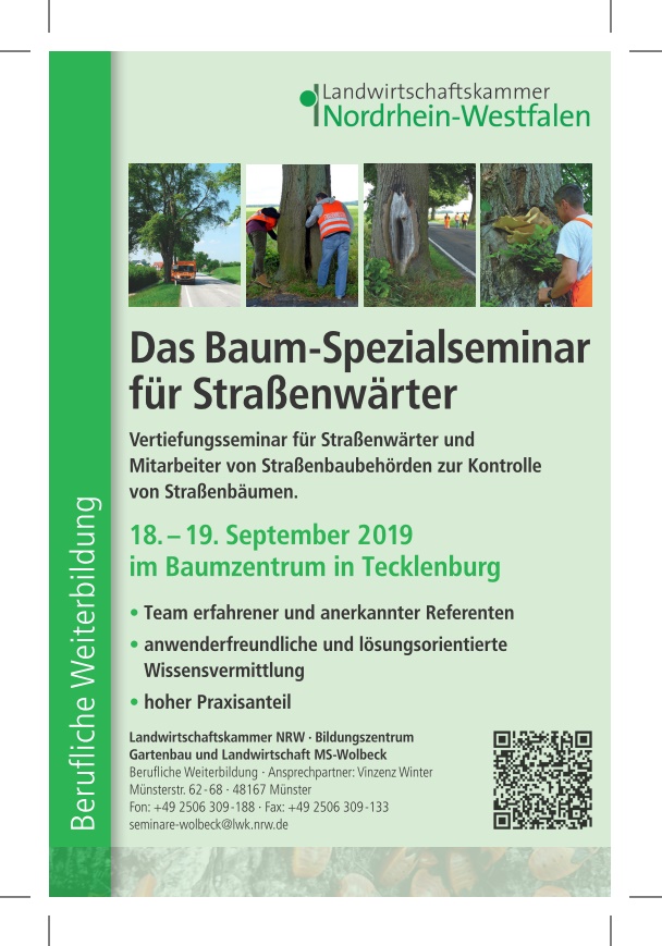 Das Baum-Spezialseminar...