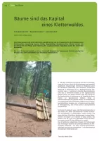Bäume sind das Kapital des Kletterwaldes
