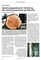Spannungsgesteuerte Verteilung des Dickenzuwachses bei Bäumen
