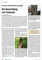 Die Beurteilung von Zwieseln