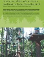 Kletterwald - man sieht den Baum vor Elementen nicht 