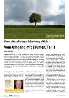 Vom Umgang mit Bäumen (Teil1)