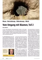 Vom Umgang mit Bäumen (Teil2)