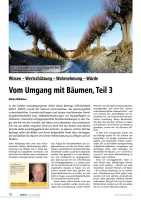 Vom Umgang mit Bäumen (Teil3)