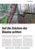 Auf die Zeichen der Bäume achten