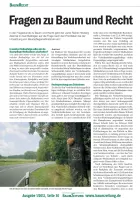 Umsetzungsprioritäten bei Baumpflegemaßnahmen
