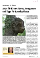 Vom Umgang mit Bäumen
