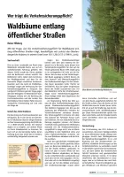 Wer ist verkehrssicherungspflichtig für Waldbäume an Straßen