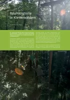 Baumkontrolle in Kletterwäldern