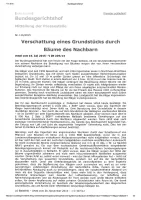 Grundstücksverschattung durch Bäume