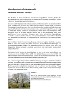 Blutbuchen Eversberg