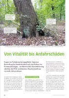 Von Vitalität bis Anfahrschäden