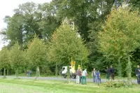 Seminar zur Jungbaumpflege 2021