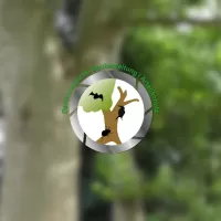 VIDEO: Dendrologische Baubegleitung und Artenschutz
