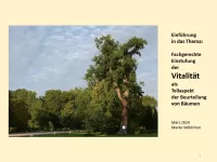 BAUMPOSTER - Kapitel 4 überarbeitet