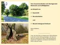 BAUMPOSTER - Kapitel 8