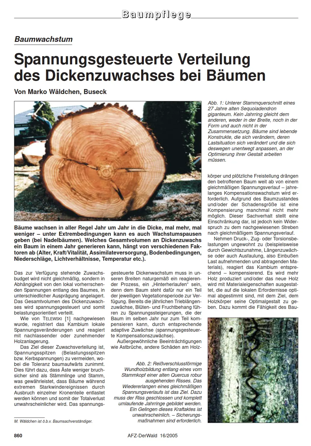 09.09.2011: Spannungsgesteuerte Verteilung des Dickenzuwachses bei Bäumen Screenshot des Magazon AFZ,
Spannungsgesteuerte Verteilung des Dickenzuwachses bei Bäumen