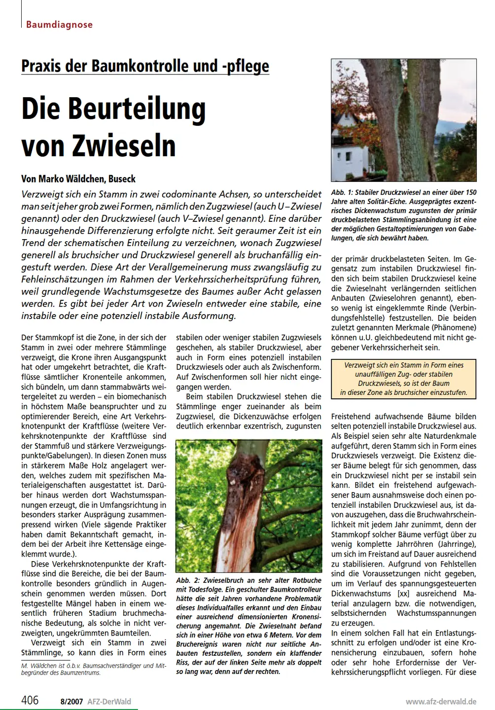 Screenshot des Magazin AFZ,
 Die neue Freizeiteinrichtung Kletterwald