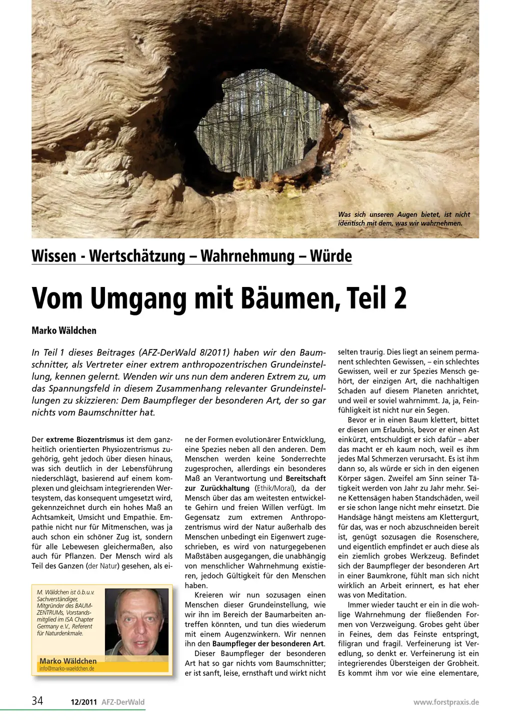 Screenshot des Magazin AFZ,
 Vom Umgang mit Baeumen