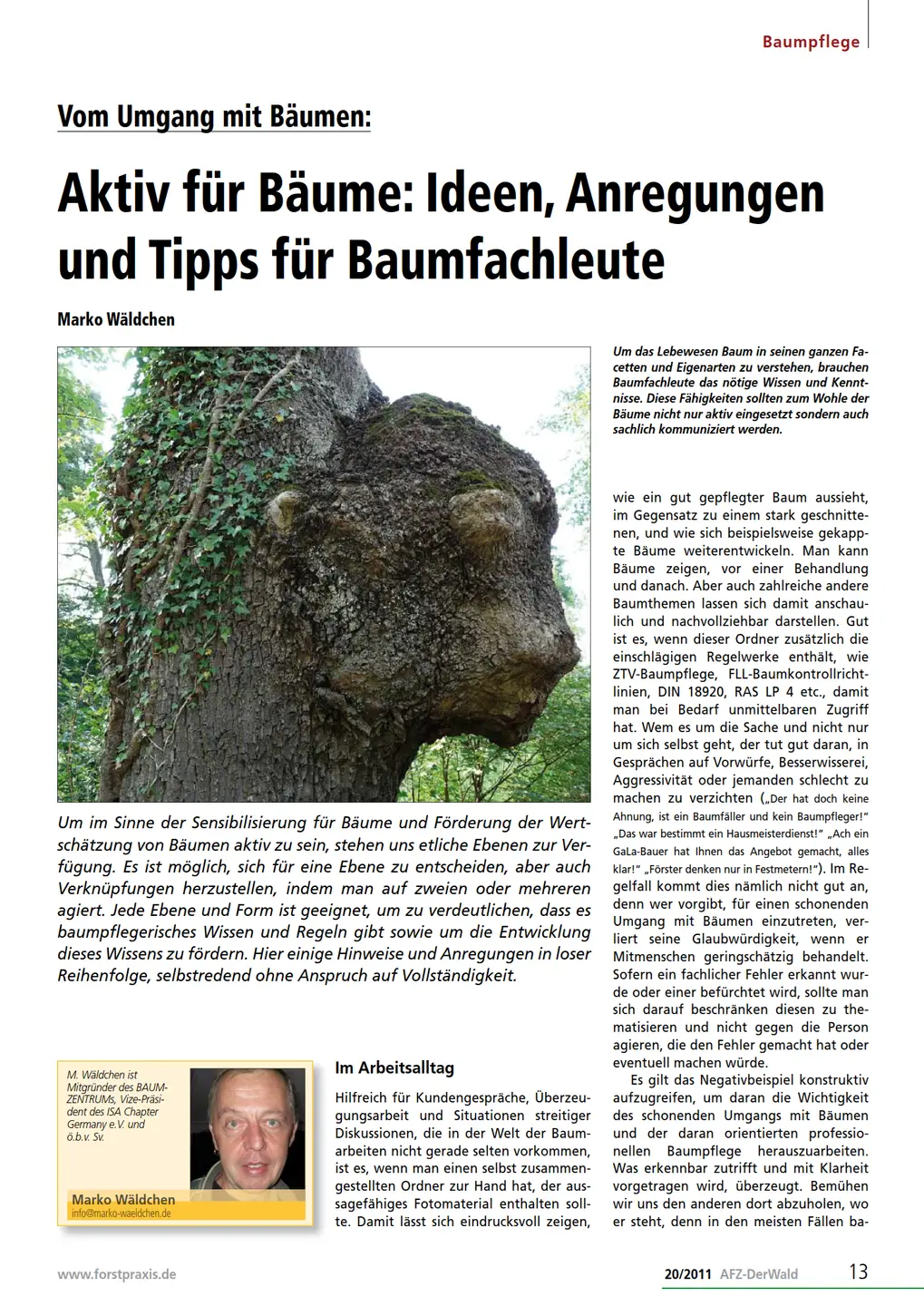 Screenshot vom PDF Artikel AFZ Der Wald
