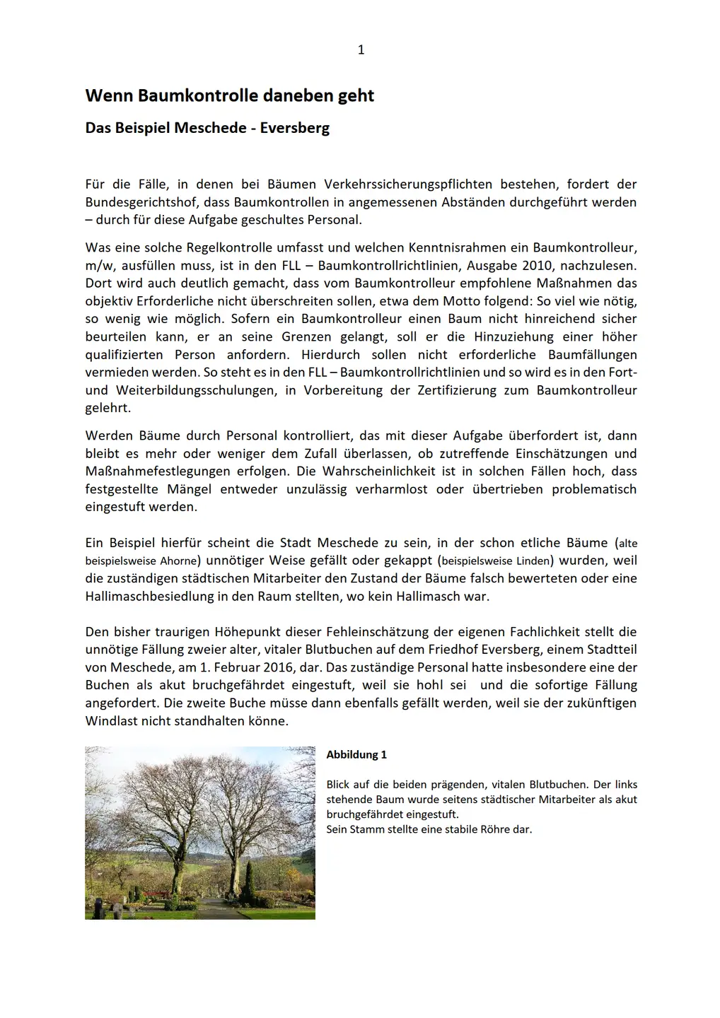 22.02.2016: Blutbuchen Eversberg Ansicht des PDF Artikel