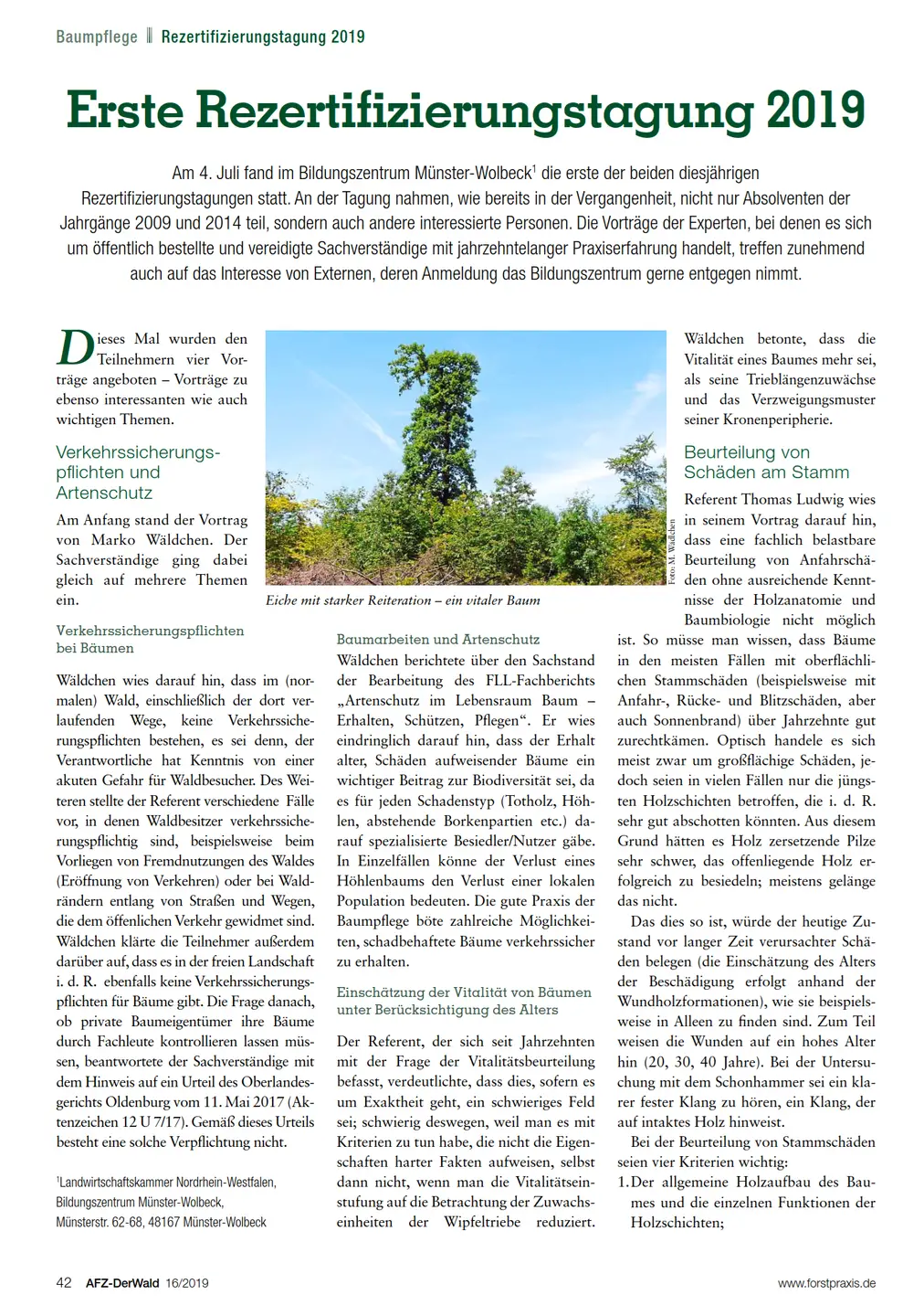22.08.2019: Erste Rezertifizierungstagung Ansicht des Artikels des Magazin AFZ Der Wald 16/2019