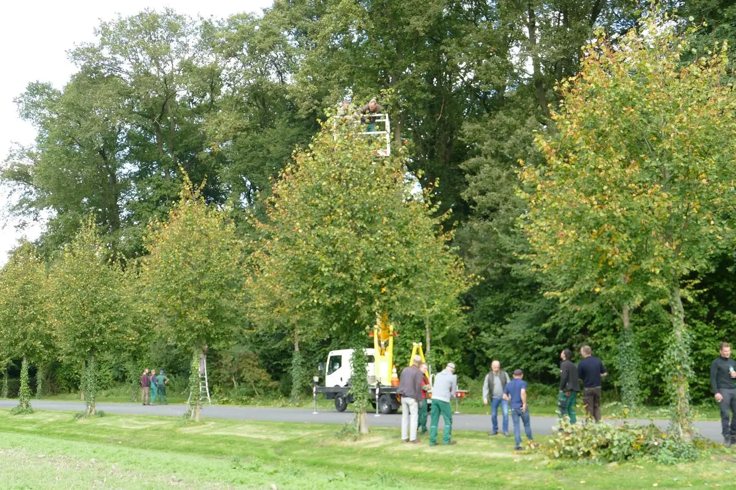 11.10.2021: Seminar zur Jungbaumpflege 2021 Bild mit Seminarteilnehmern in der natur, Wiese und Bäume sind zu sehen