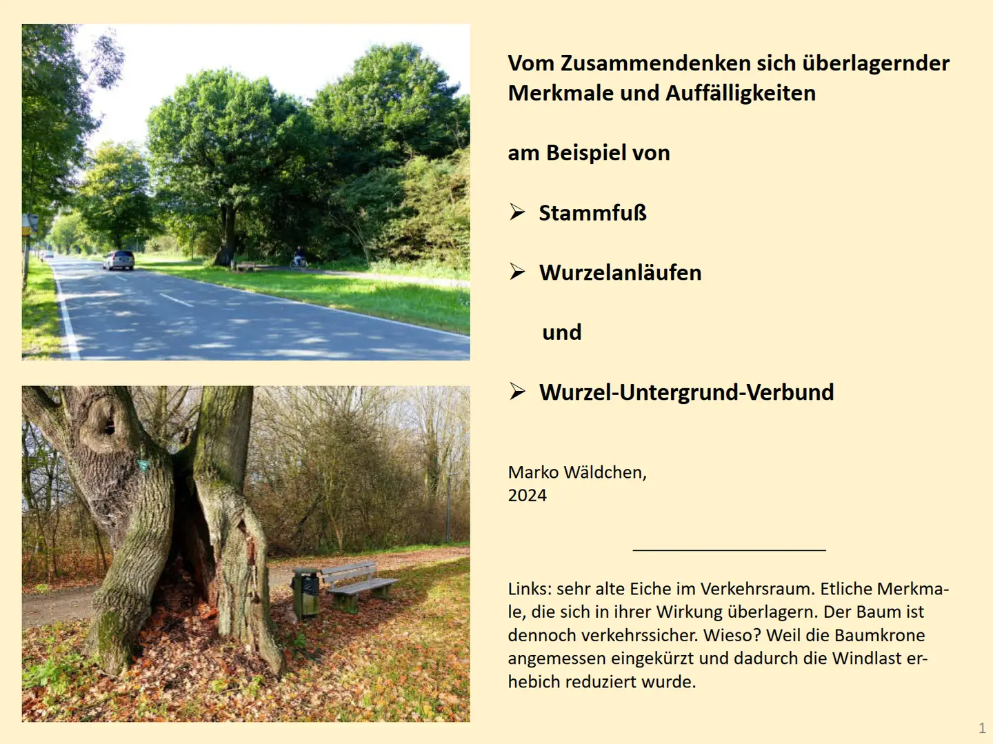 20.12.2023: Erste Folie der Präsentation mit Bildern und Text Erste Folie der Präsentation mit Bildern und Text