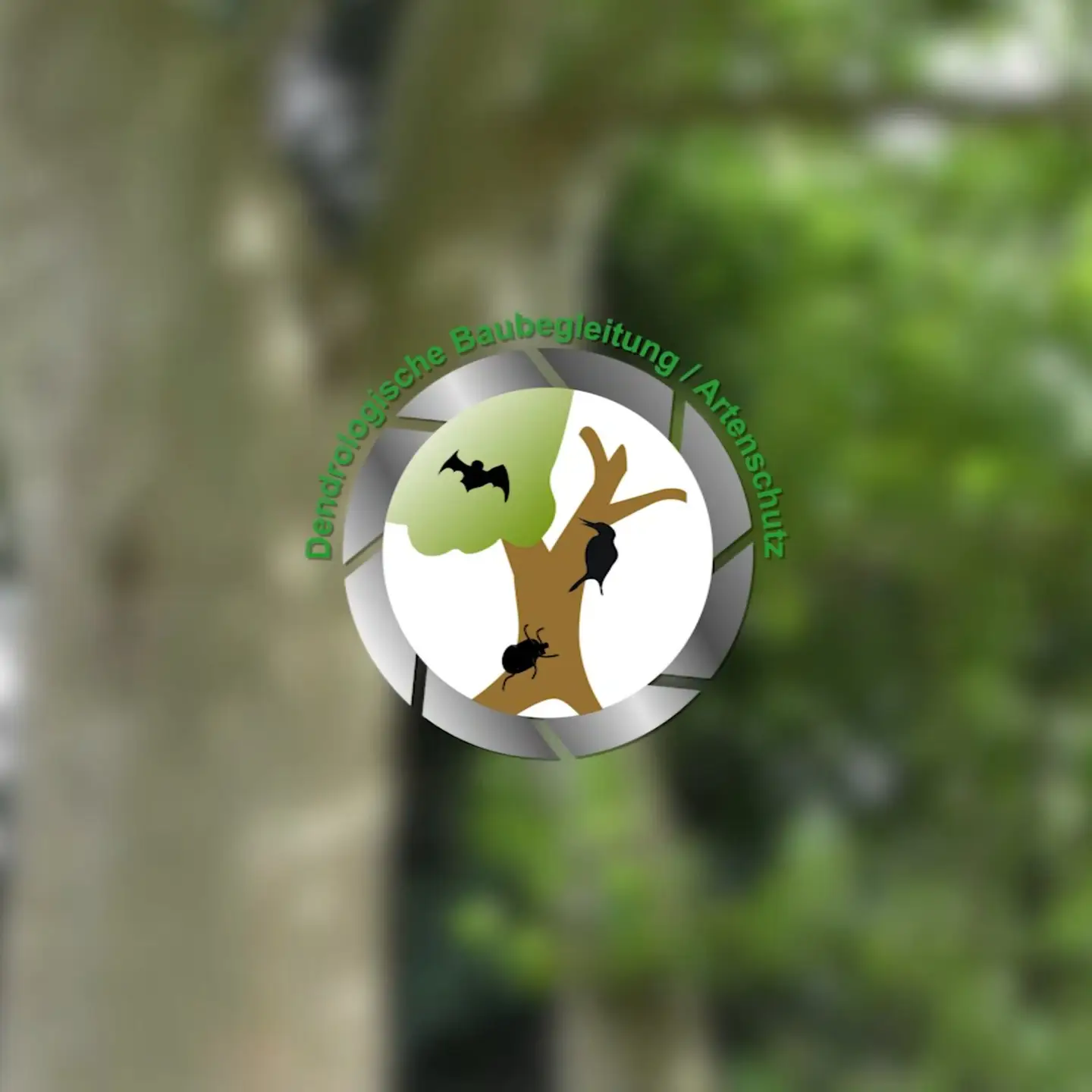 19.05.2022: VIDEO: Dendrologische Baubegleitung und Artenschutz verschwommener Hintergrund,
darauf ein Logo mit Baum und der Beschriftung Dendrologische Baumbegleitung/Artenschutz