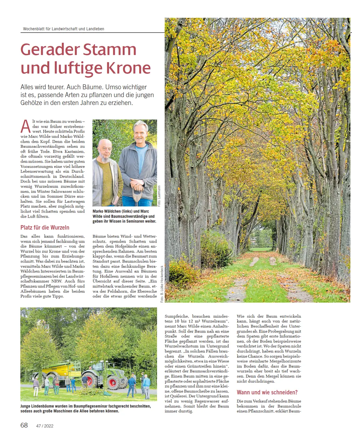 Screenshot des Artikels aus Wochenblatt.com