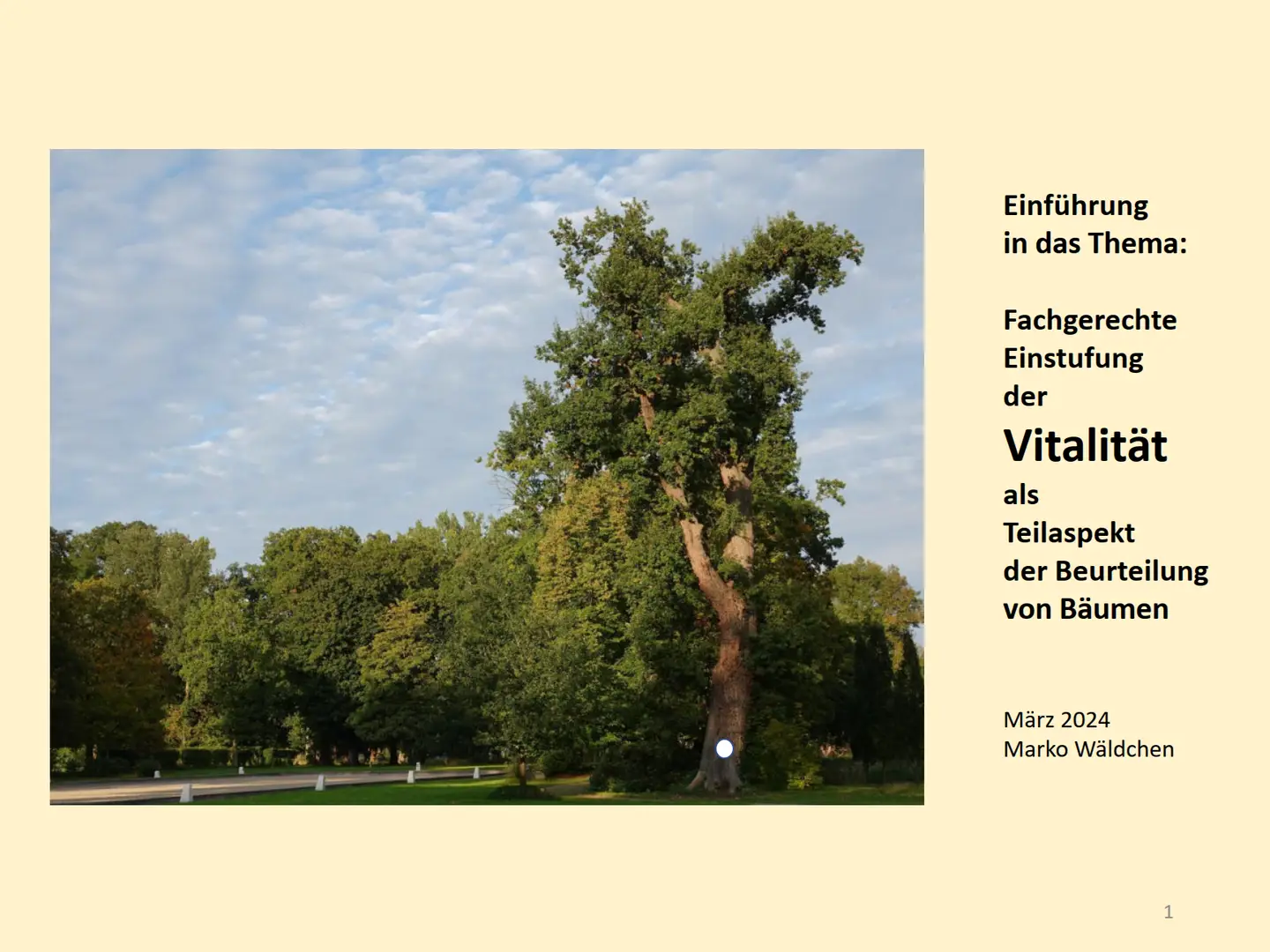 Bild eines Baumes,
 rechts Beschreibung des Kapitel 4